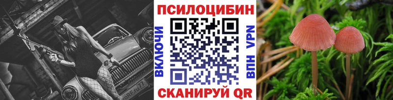 Галлюциногенные грибы Cubensis  Североуральск 
