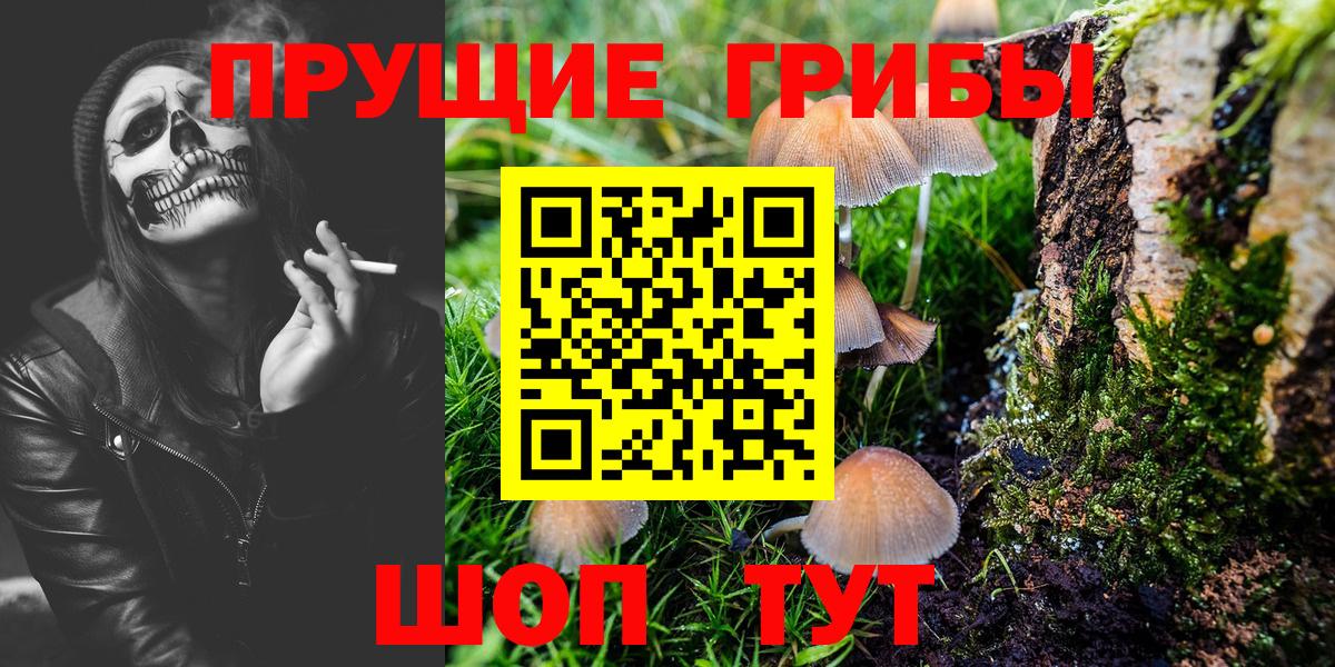 Галлюциногенные грибы Psilocybine cubensis  Вход с VPN  Североуральск 